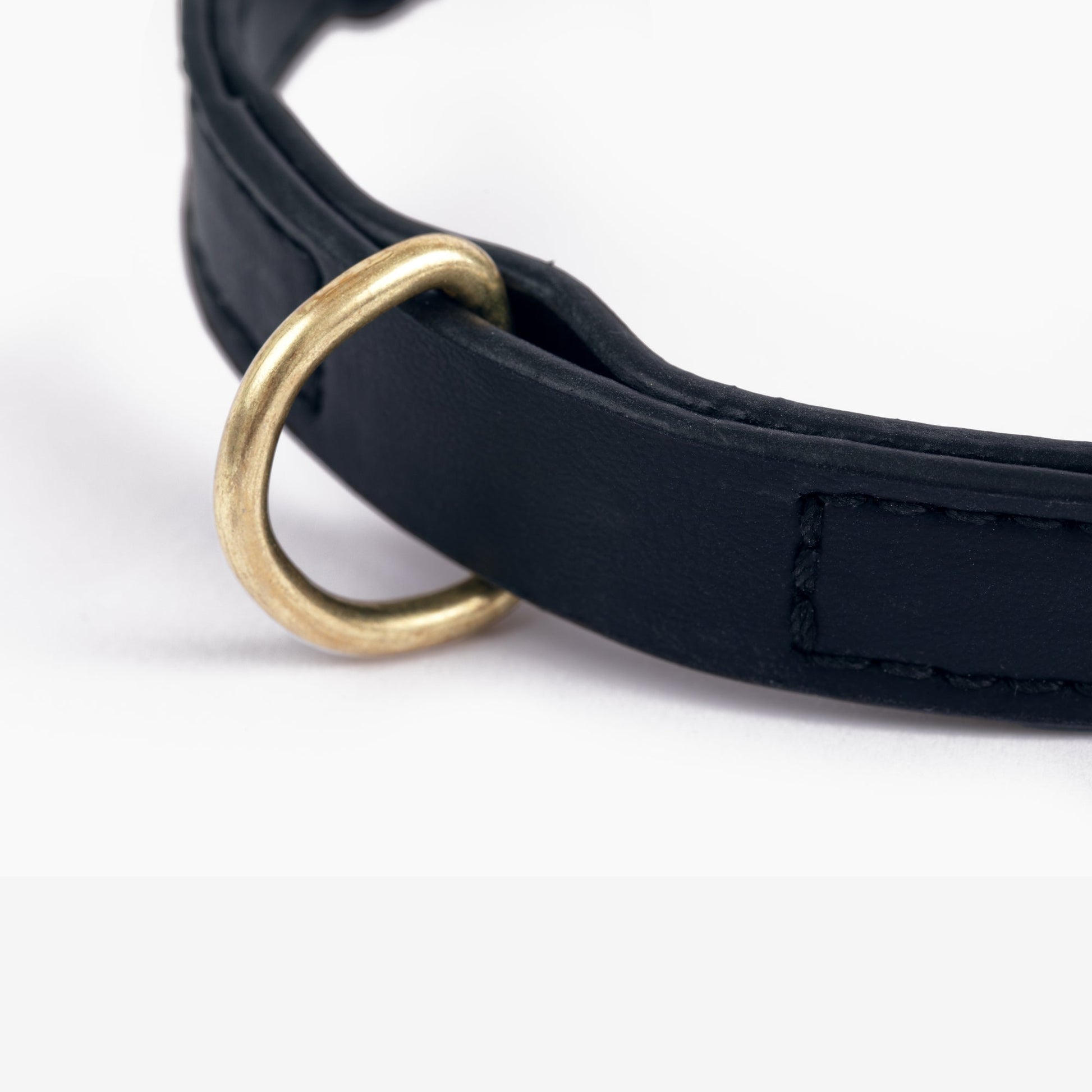 Cactus Leather Collar - Black
