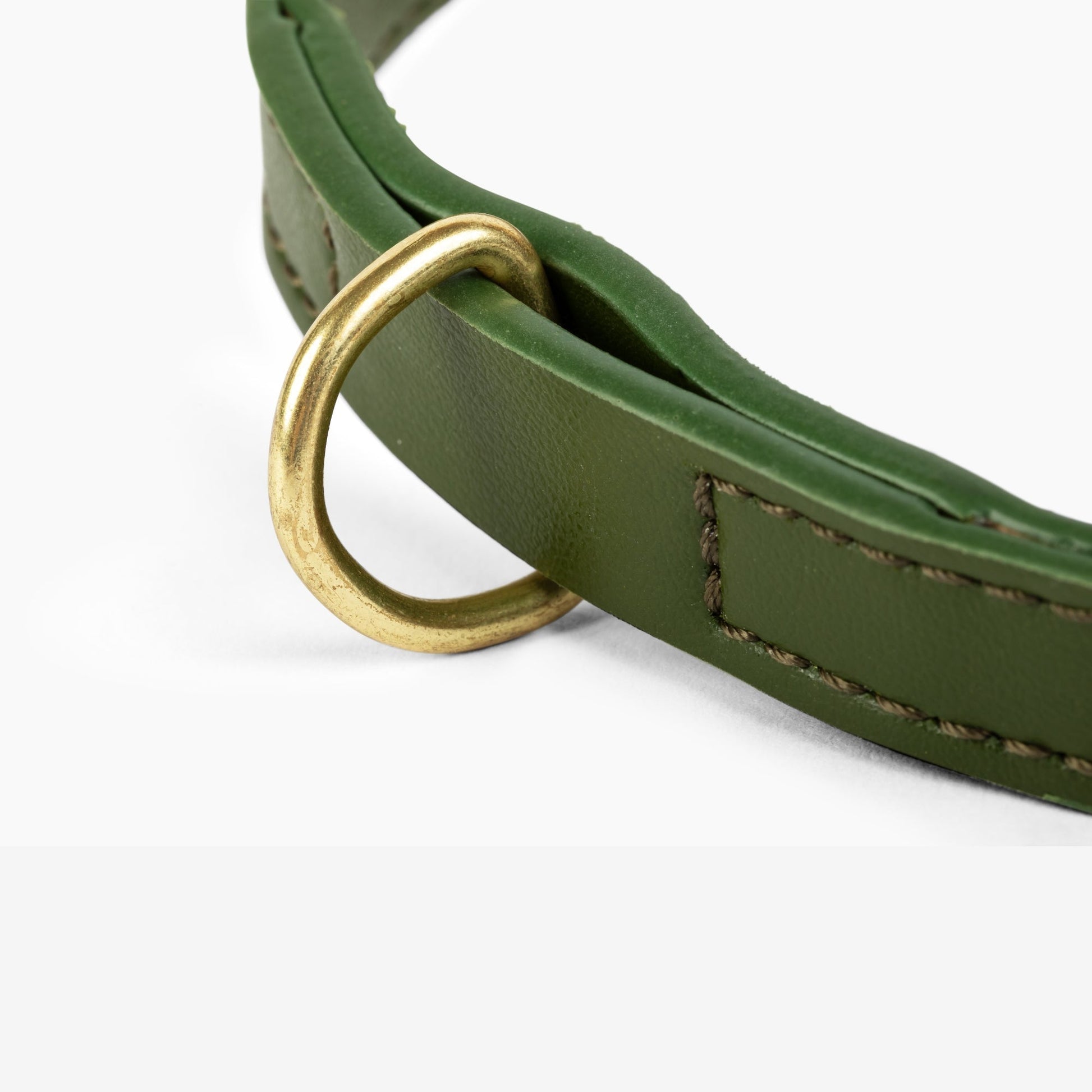 Cactus Leather Collar - Green