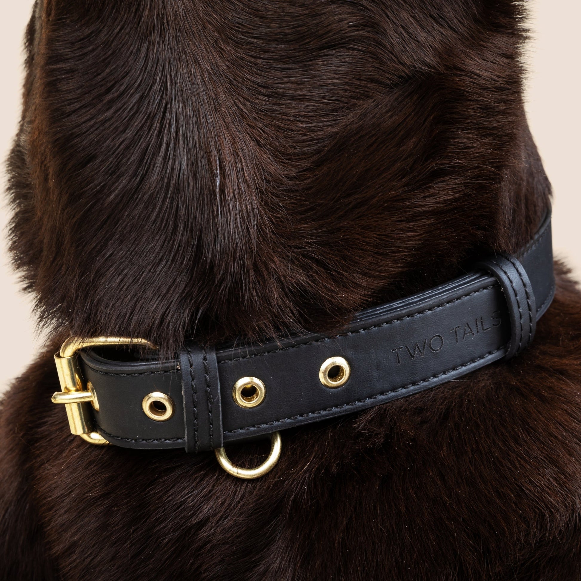 Cactus Leather Collar