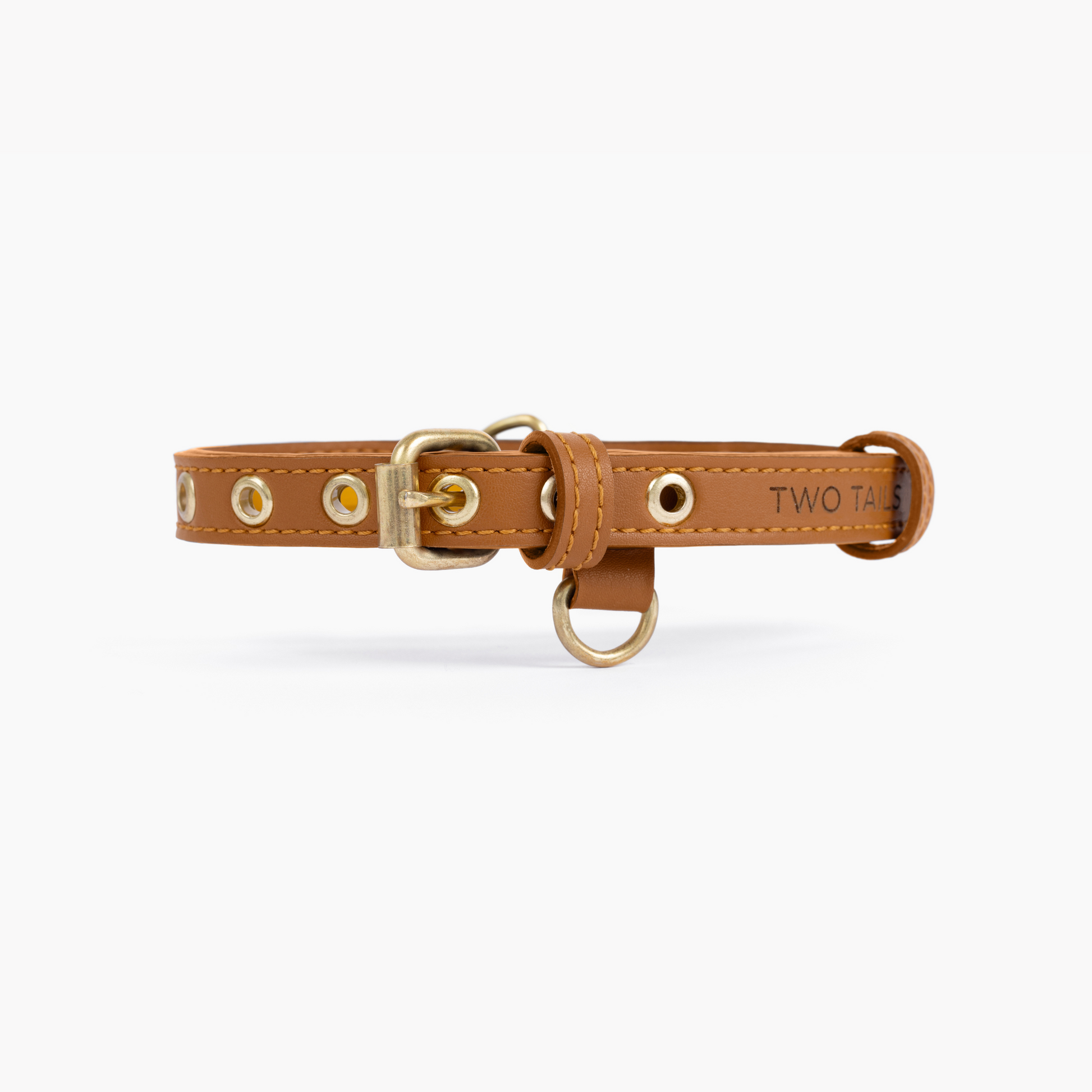 Cactus Leather Collar & ID Tag Bundle