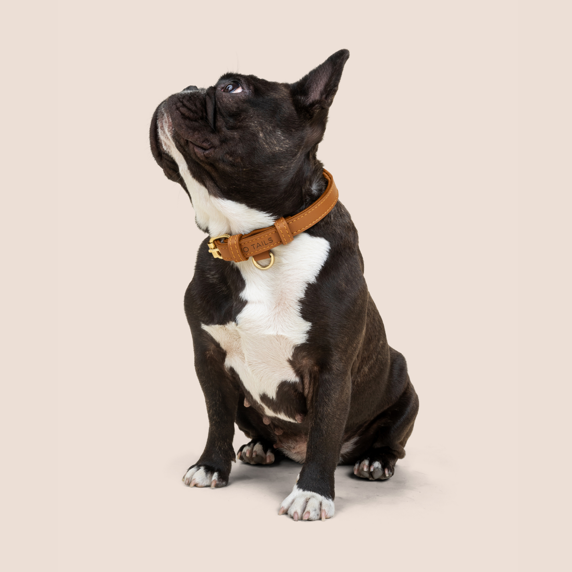 Cactus Leather Collar - Caramel