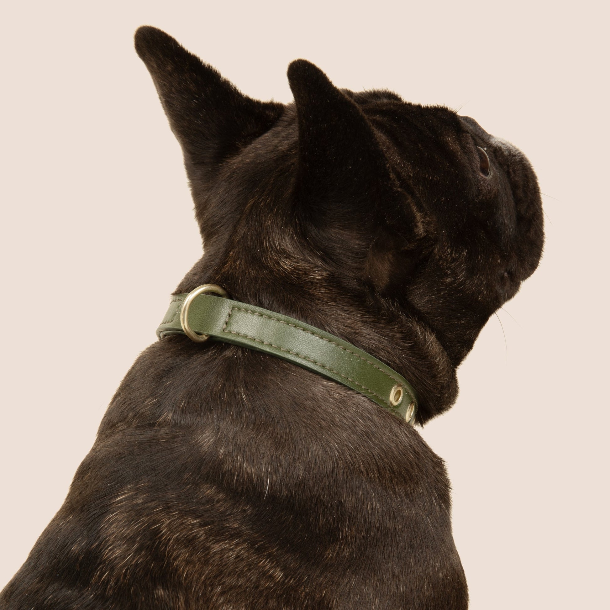 Cactus Leather Collar - Green