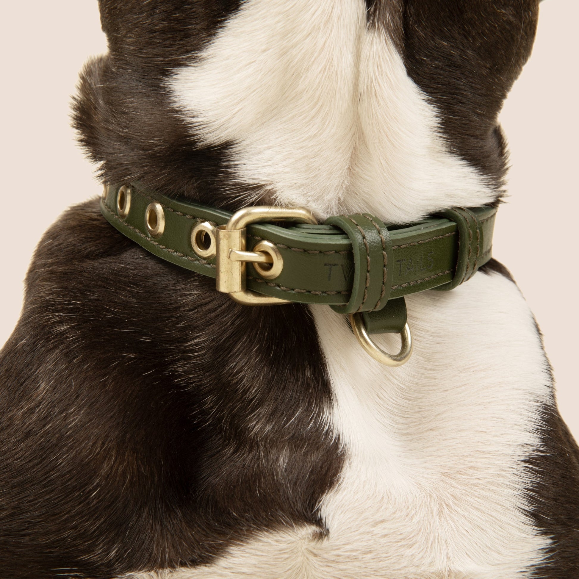 Cactus Leather Collar