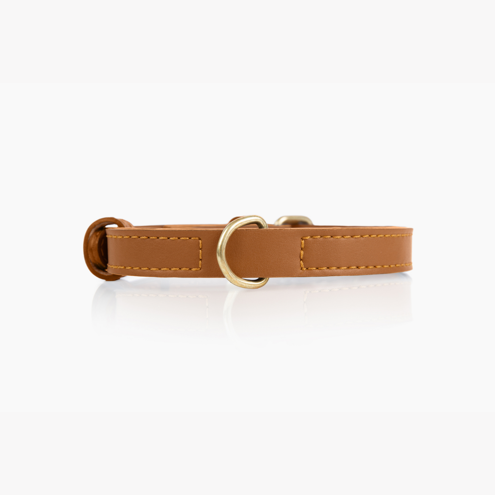 Cactus Leather Collar