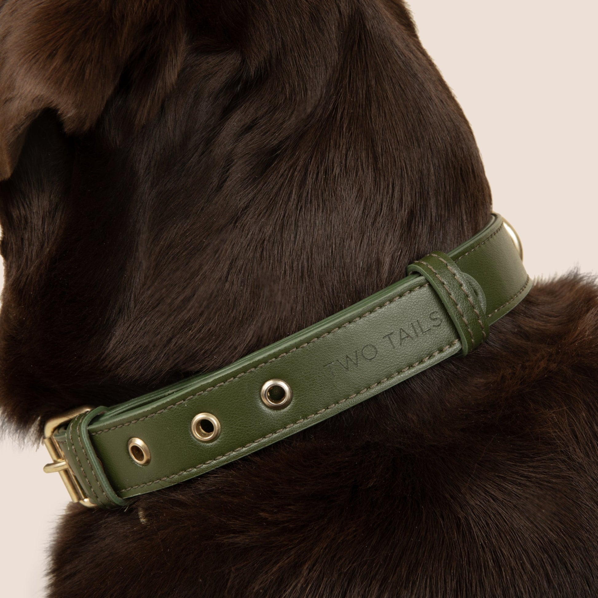 Cactus Leather Collar & ID Tag Bundle