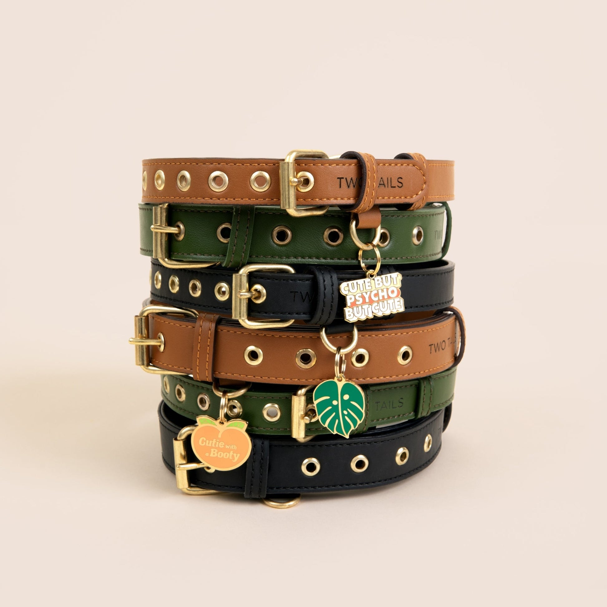 Cactus Leather Collar & ID Tag Bundle