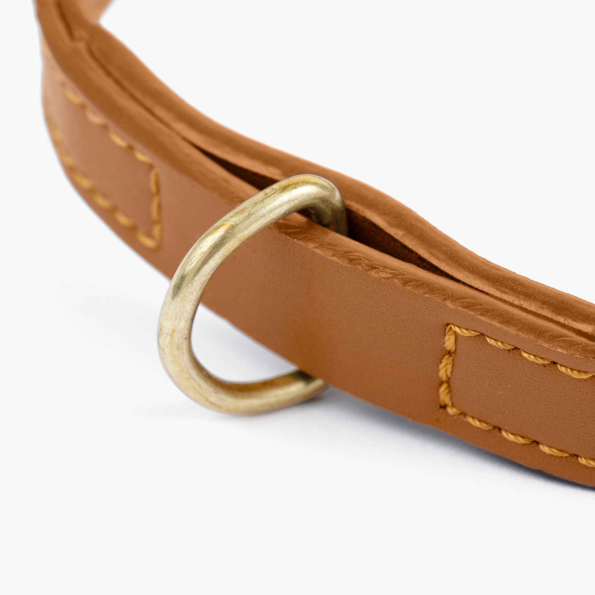 Cactus Leather Collar - Caramel